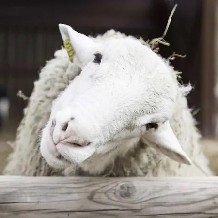 Spacious House With Private Pool Kitchen Villa Teixoso