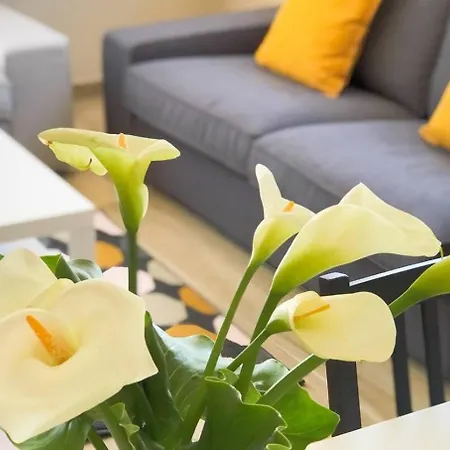 Spacious House With Private Pool Kitchen Teixoso