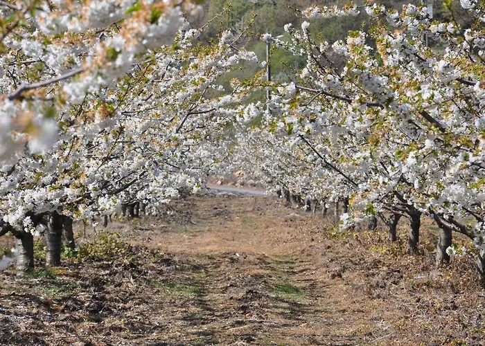 Spacious House With Private Pool Kitchen Villa