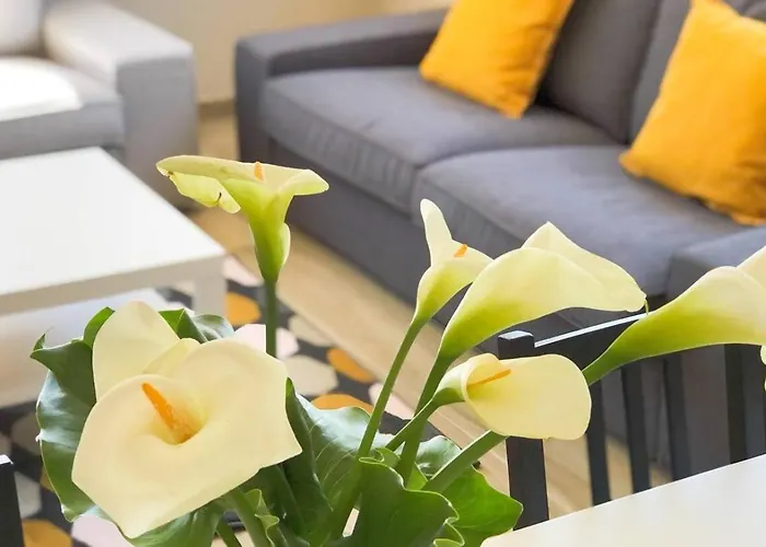 Spacious House With Private Pool Kitchen Teixoso